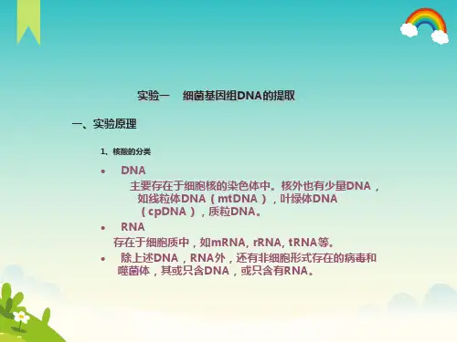 细菌基因组DNA的提取