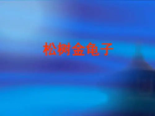 松树金龟子PPT30(6份打包) 苏教版1