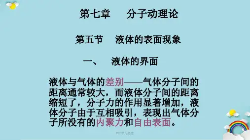 表面张力课件