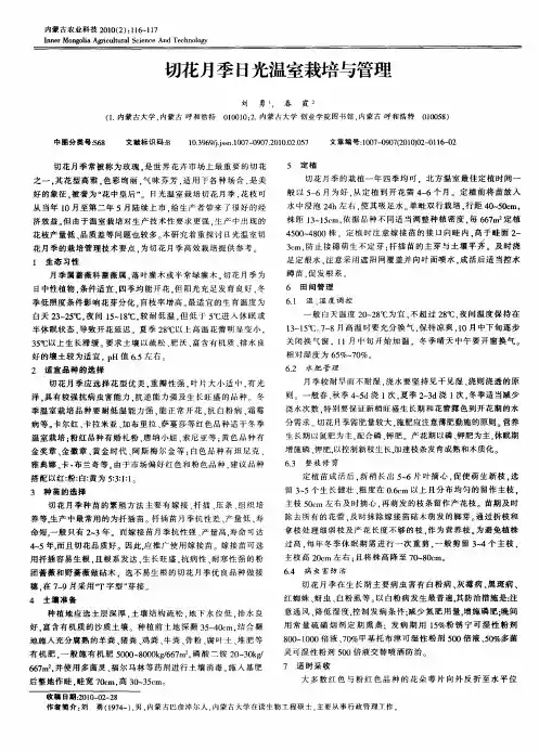 切花月季日光温室栽培与管理