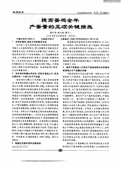 提高蛋鸡全年产蛋量的五项关键措施