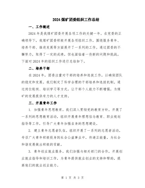 2024煤矿团委组织工作总结