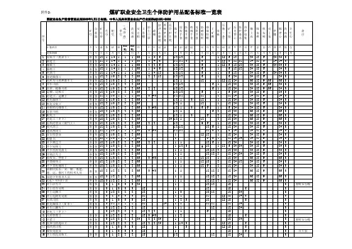 煤矿职业安全卫生个体防护用品配备标准一览表