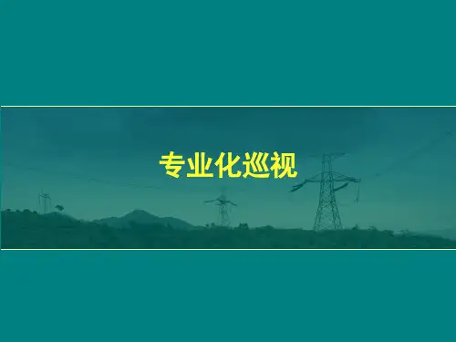 专业化巡视.ppt
