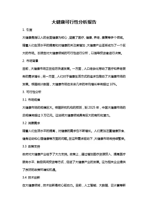 大健康可行性分析报告