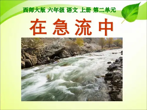 《在急流中》PPT教学课件5