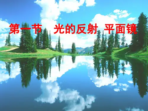 光的反射平面镜(PPT课件(初中科学)36张)