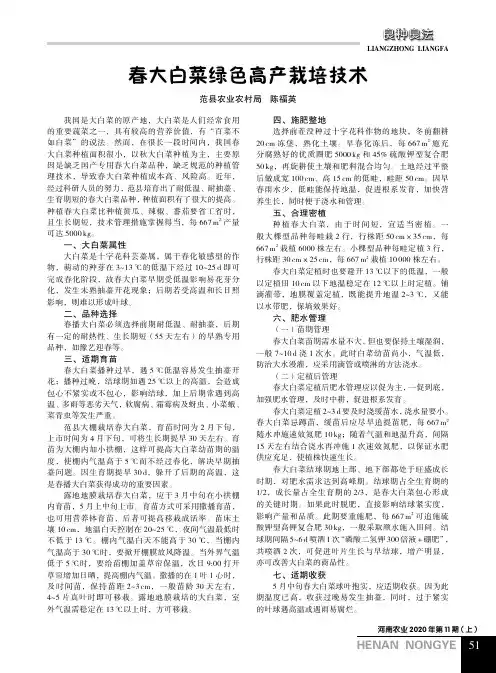 春大白菜绿色高产栽培技术