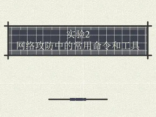 网络攻防中的常用命令和工具