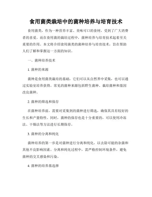 食用菌类栽培中的菌种培养与培育技术