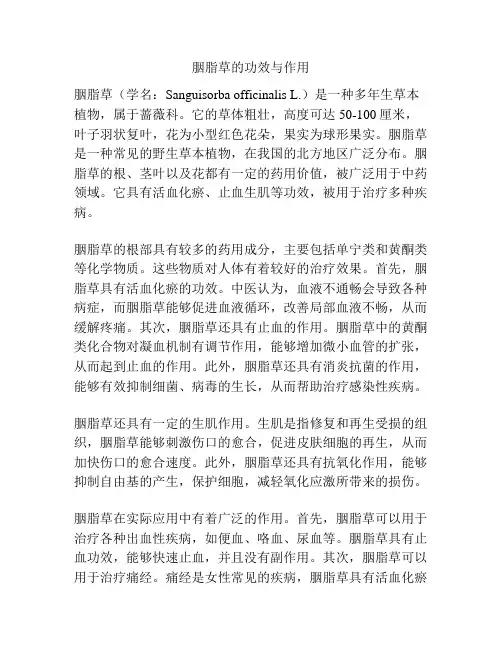 胭脂草的功效与作用