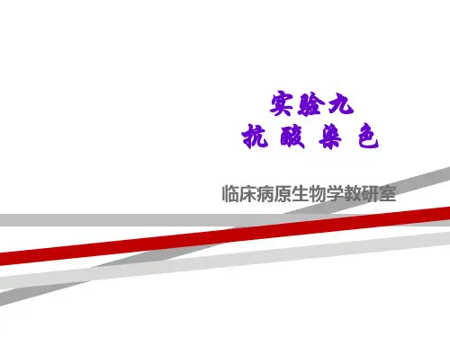 实验九抗酸染色.ppt.ppt