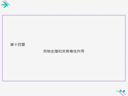 药物生殖和发育毒性作用