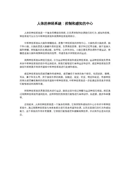 人体的神经系统：控制和感知的中心