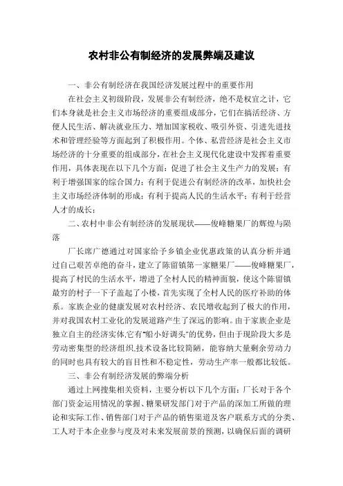农村非公有制经济的发展弊端及建议