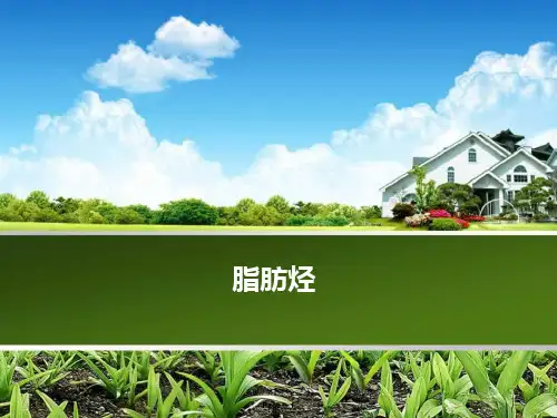 人教版选修化学脂肪烃PPT