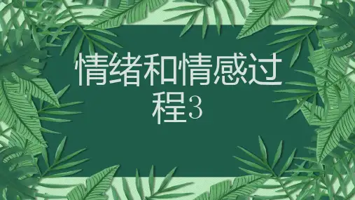 情绪和情感过程