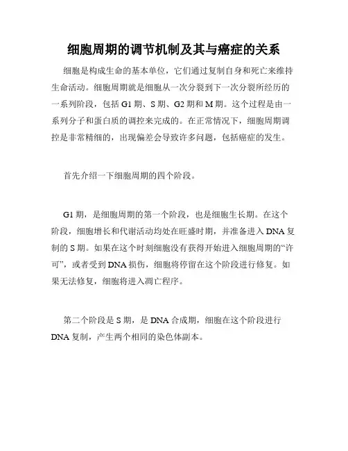 细胞周期的调节机制及其与癌症的关系
