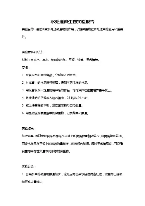 水处理微生物实验报告