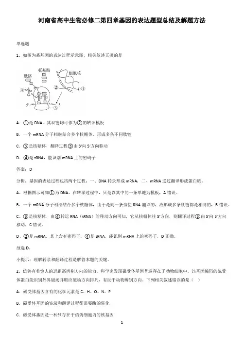 河南省高中生物必修二第四章基因的表达题型总结及解题方法