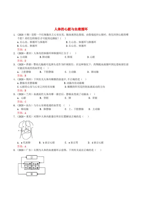 2020年中考生物试题分类集之十四 人体的心脏与血液循环