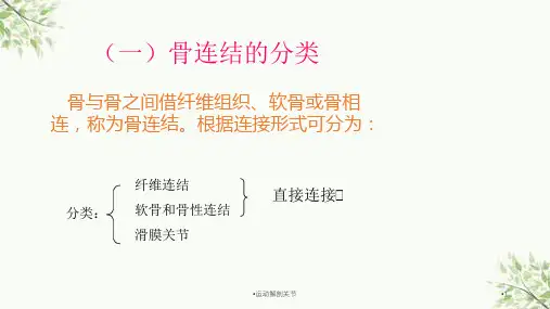 运动解剖关节课件