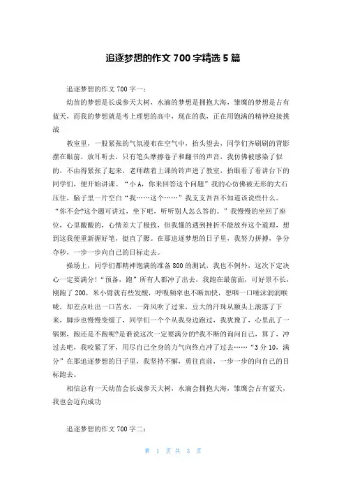 追逐梦想的作文700字精选5篇