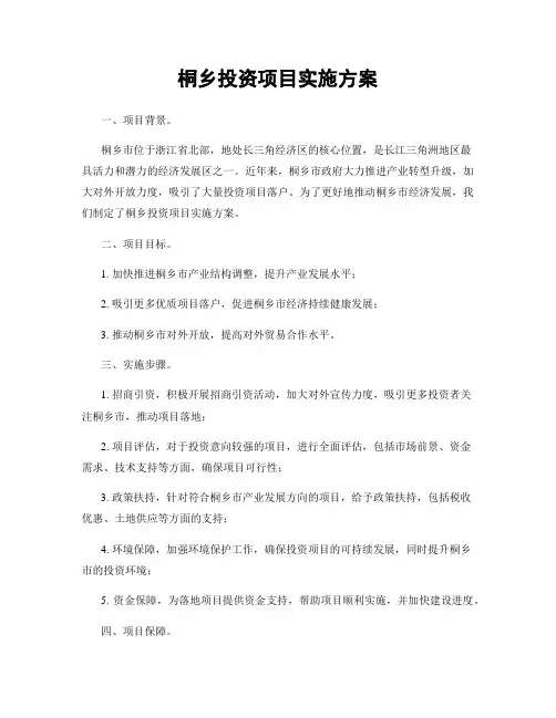 桐乡投资项目实施方案
