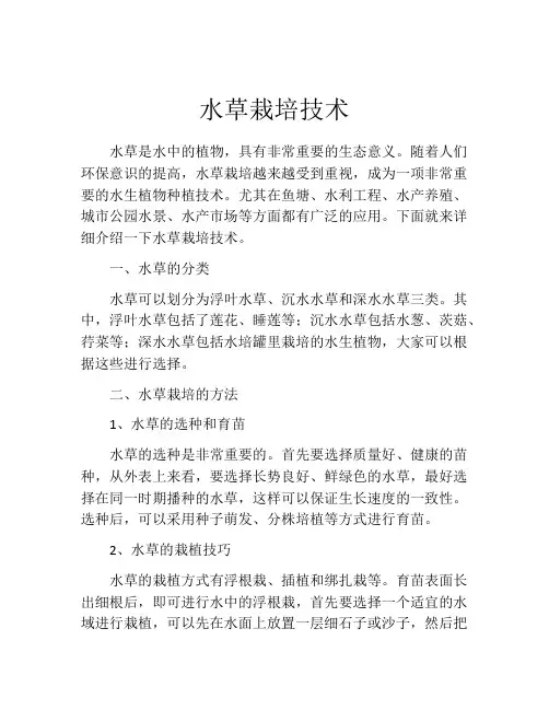 水草栽培技术