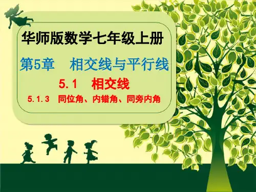 华东师大版数学七年级上册第5章《5.同位角、内错角、同旁内角》课件