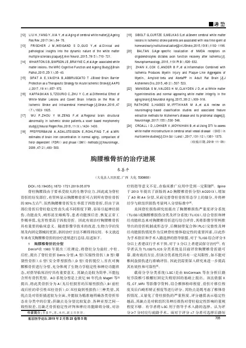 胸腰椎骨折的治疗进展
