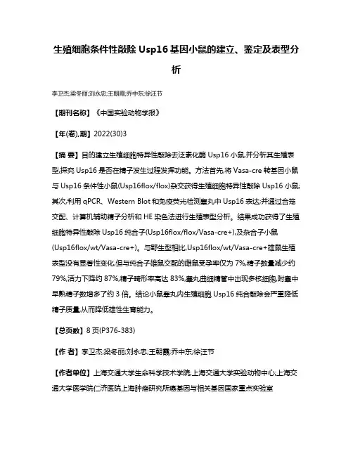 生殖细胞条件性敲除Usp16基因小鼠的建立、鉴定及表型分析