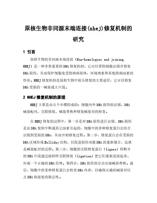 原核生物非同源末端连接(nhej)修复机制的研究
