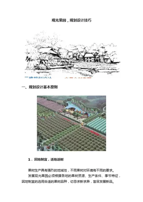 观光果园，规划设计技巧