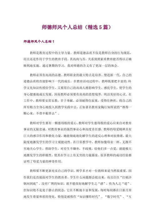 师德师风个人总结(精选5篇)