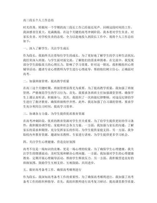 高三段长个人工作总结