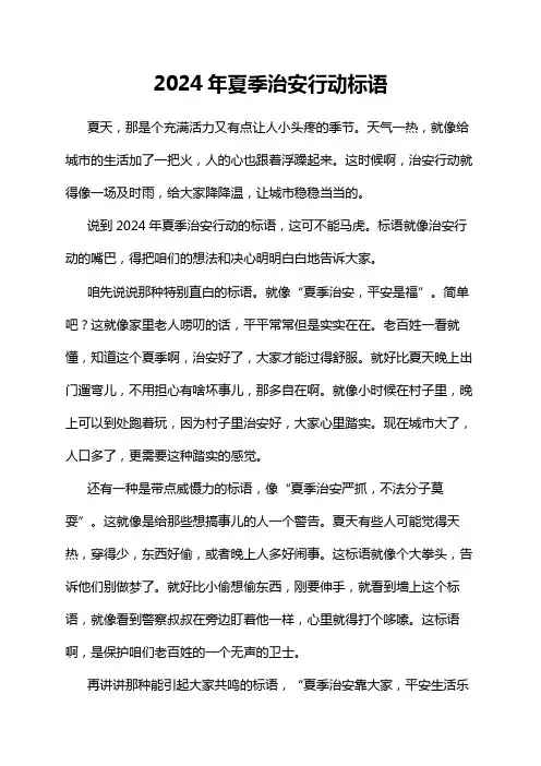 2024年夏季治安行动标语