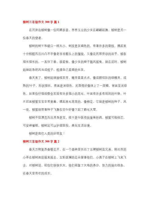 观察柳树的作文三年级300字