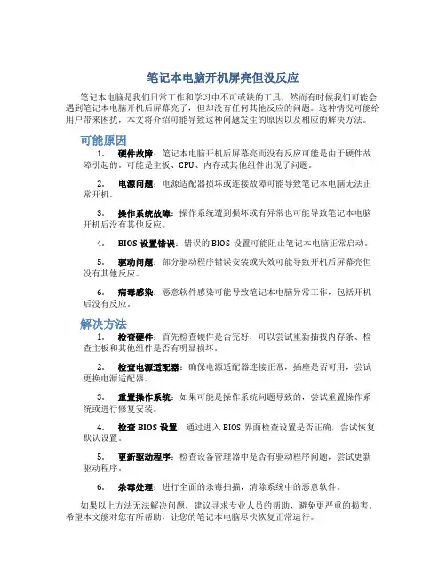 笔记本电脑开机屏亮但没反应