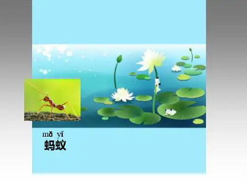 送小蚂蚁回家ppt课件小学语文沪教版二年级上册_6