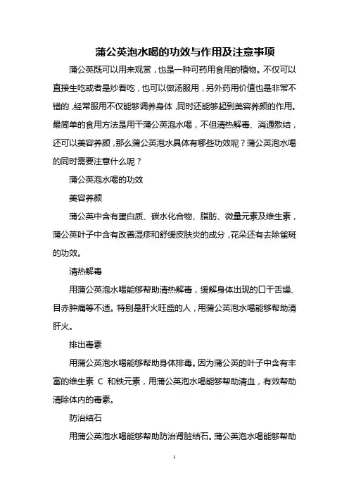 蒲公英泡水喝的功效与作用及注意事项