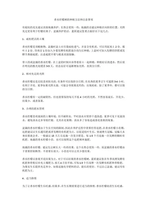 香水柠檬树的种植方法和注意事项