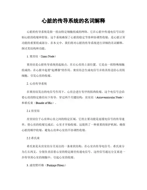 心脏的传导系统的名词解释