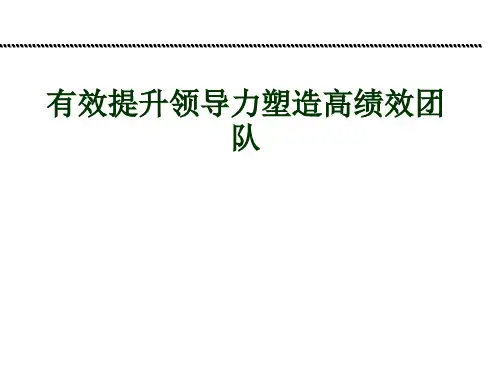 有效提升领导力塑造高绩效团队(ppt46).pptx