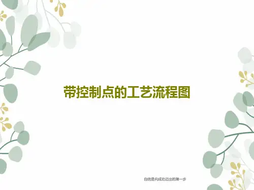 带控制点的工艺流程图PPT文档28页