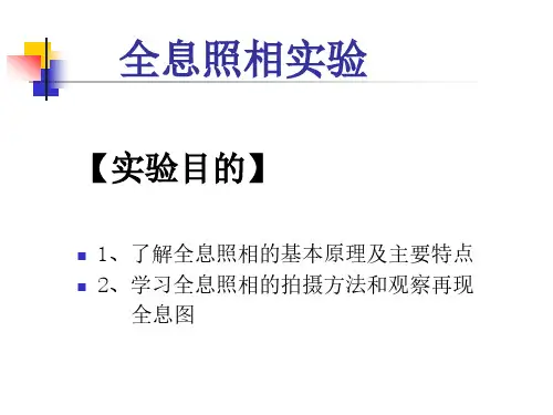 全息照相_大学物理实验全息照相