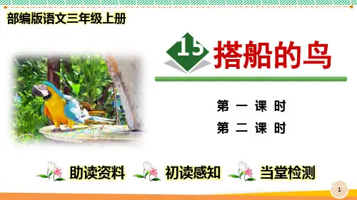 最新部编人教版语文三年级上册《搭船的鸟》优质课件