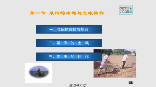 蔬菜栽培基础知识.pptx