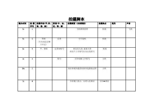 分镜头脚本模板