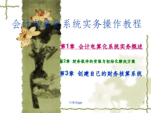 会计电算化系统实务操作教程(2)